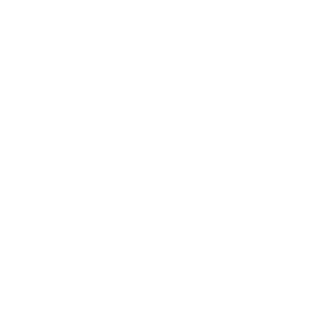 Cyber-Castle-White-Logo