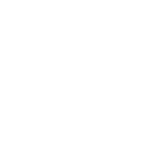 Zim-White-Logo-v2